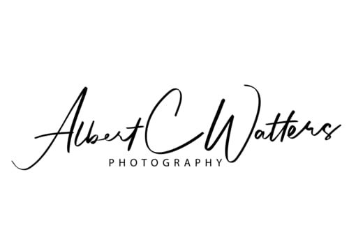 albertwatters