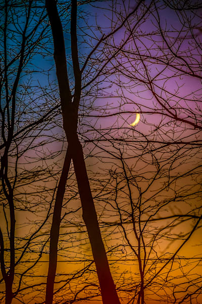 Crescent Through the Twilight Tangle