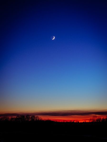 Golden Horizons