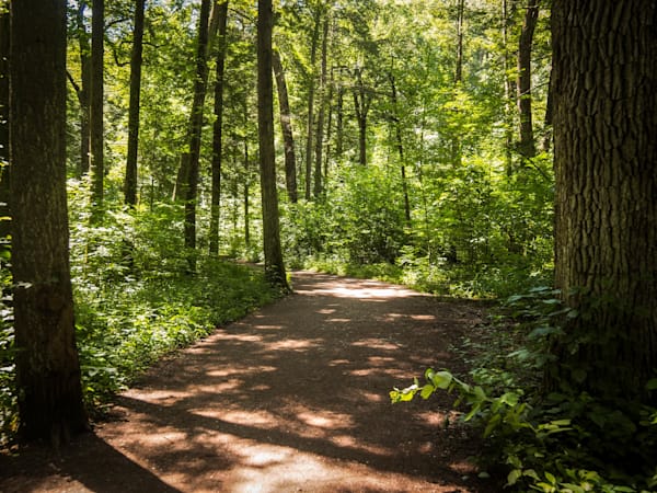 Jacobsburg Shadows