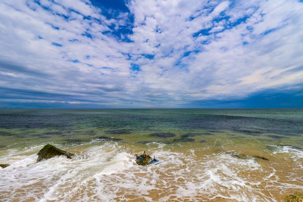 Oceanic Treasures
