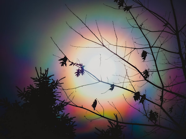 Spectrum of Stillness