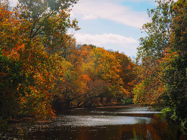 Serenity in Color