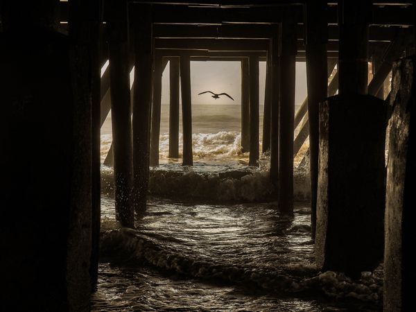 In the Spotlight: Award-Winning + Published Photography Showcase