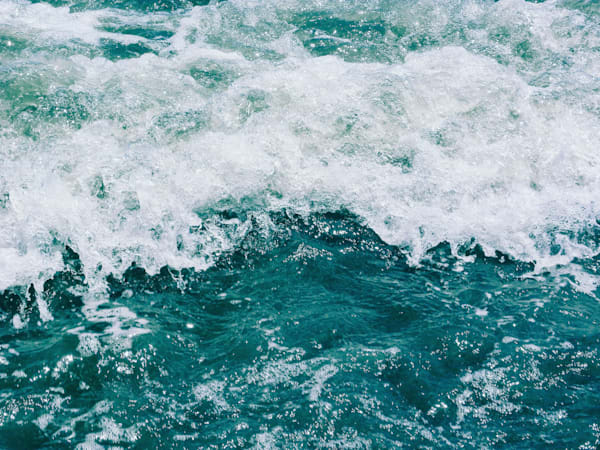 Saltwater Pulse
