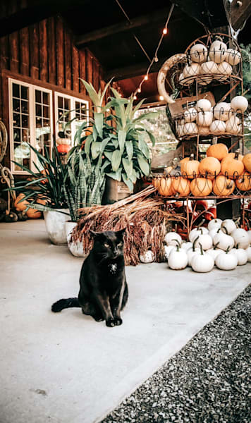 Porch Guardian of Autumn