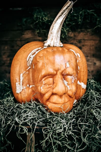 Wrinkles of the Harvest