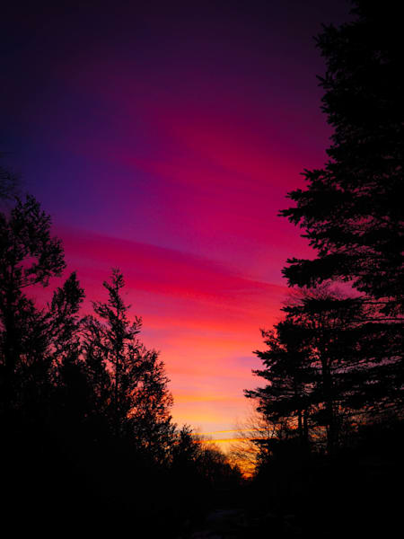 Twilight Hush