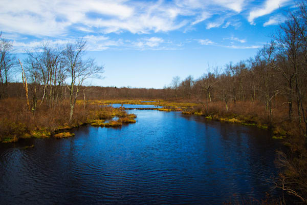 Tranquil River Landscape