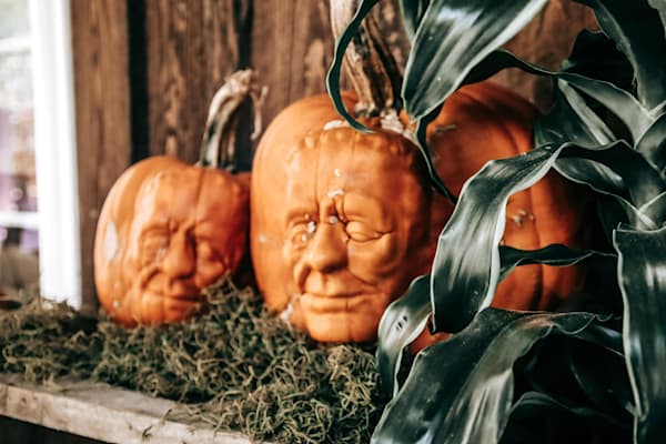 The Pumpkin Patch of Personality