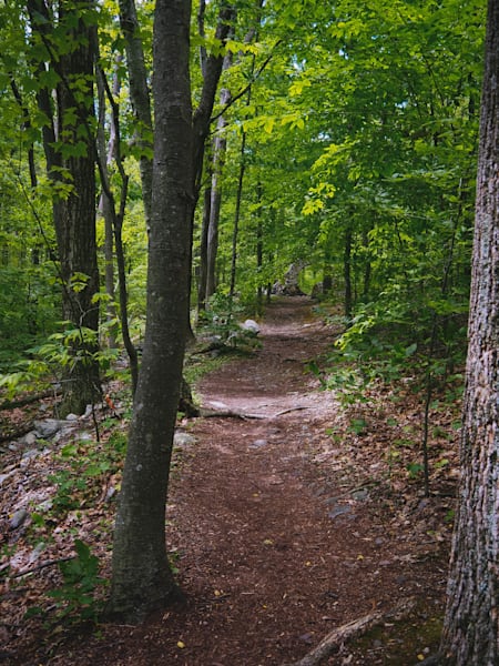 The Path