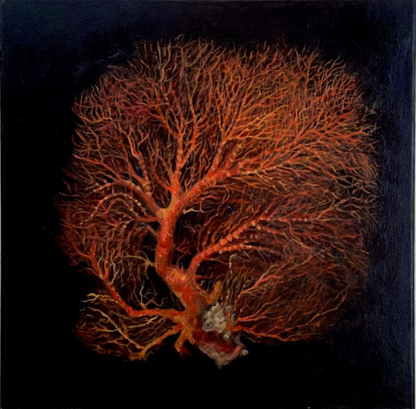“Fire Coral” Original Oil Painting Art | Conte Artworx