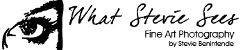 whatsteviesees