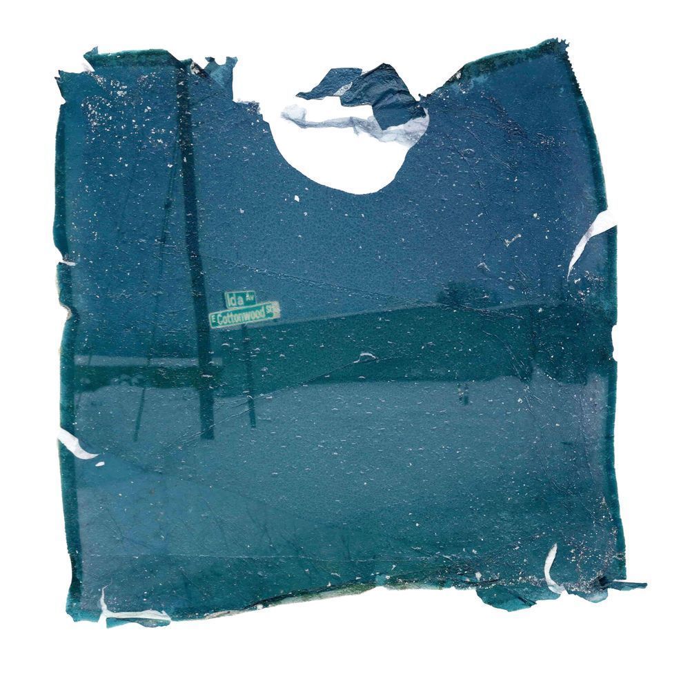 Ida and Cottonwood  Polaroid Emulsion Transfer Wall Art