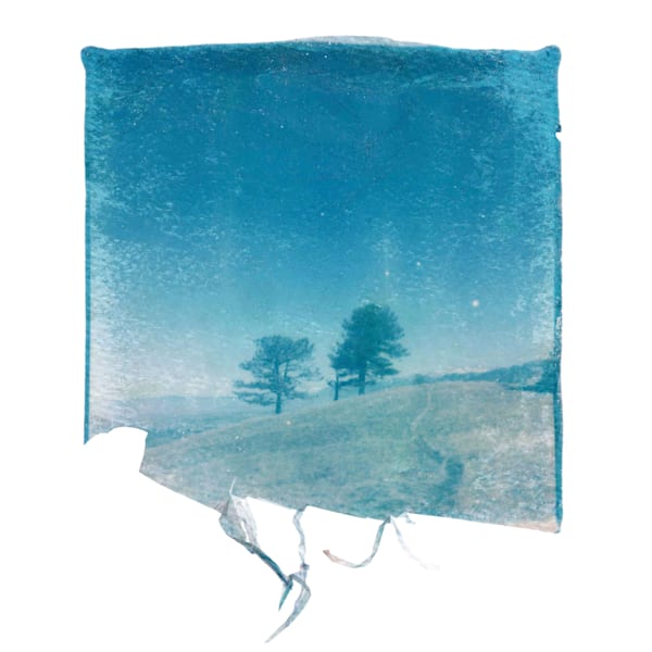 Triple Tree Polaroid Emulsion Lift