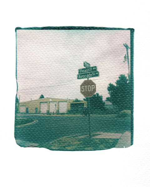 Fine Art Photography Prints | Polaroid Emulsion Lifts "Peach, Avacado, and Plum" by Jason Thompson