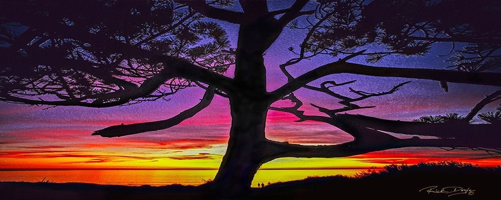 
        <div class='title'>
          12x18   SurfArt  0061
        </div>
       