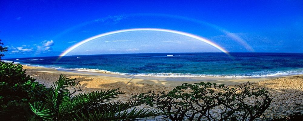 
        <div class='title'>
          R
        </div>
       