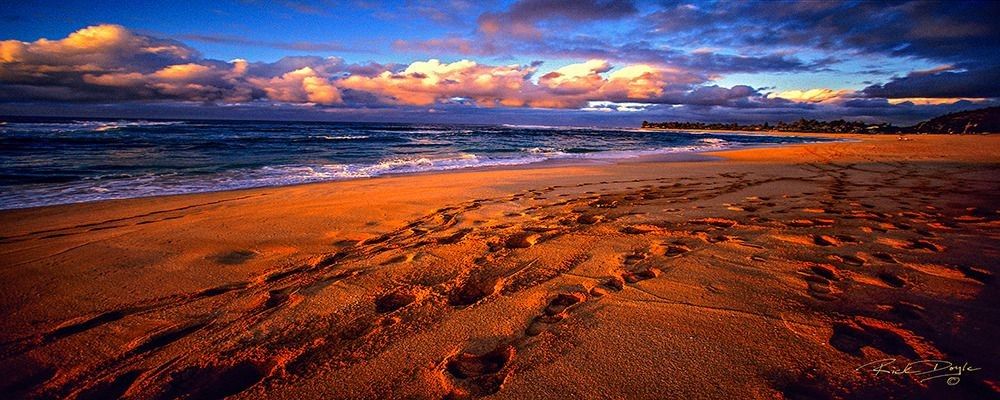 
        <div class='title'>
          SunsetBch
        </div>
       