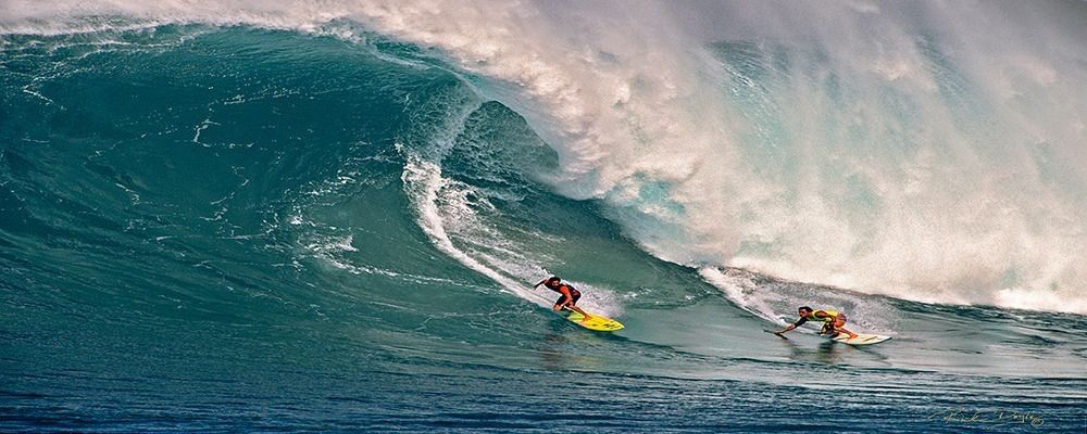 
        <div class='title'>
          doyle
        </div>
       