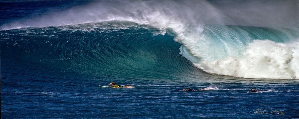 
        <div class='title'>
          doy
        </div>
       