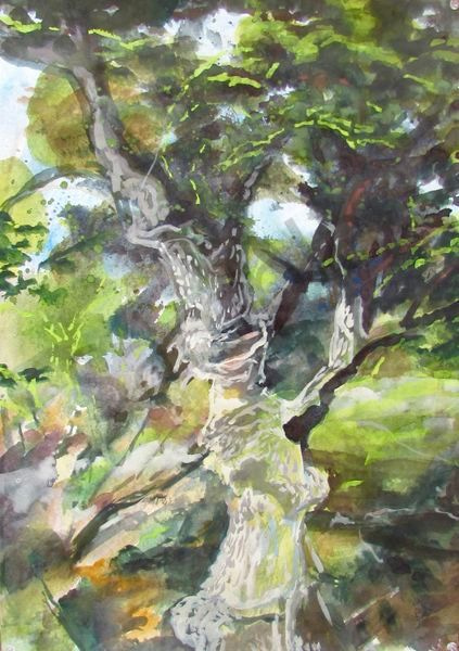 Landscapes in watercolor.