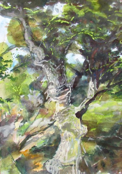 Landscapes in watercolor.