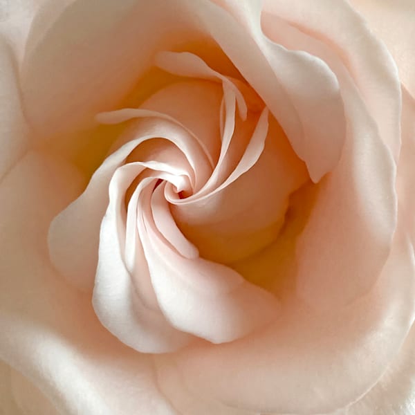 Spiral of Life Series