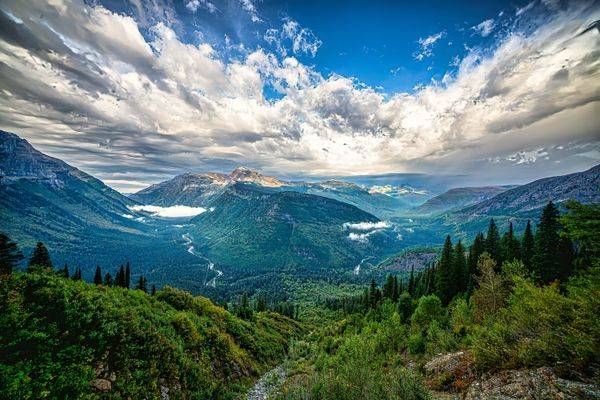 Landscape