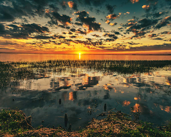 Waterscapes