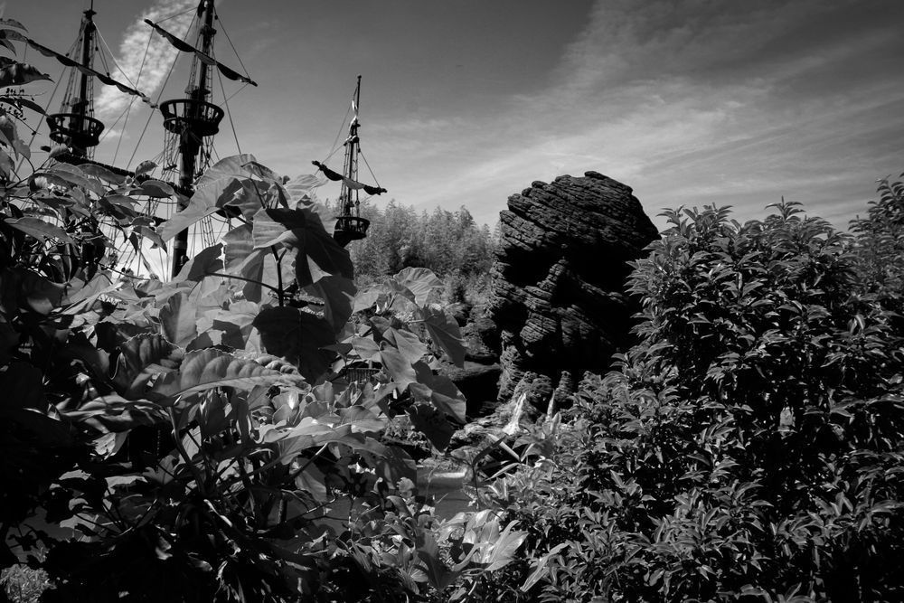 A Pirates Life Photography Art | Sam Gilliss | Visual Arts