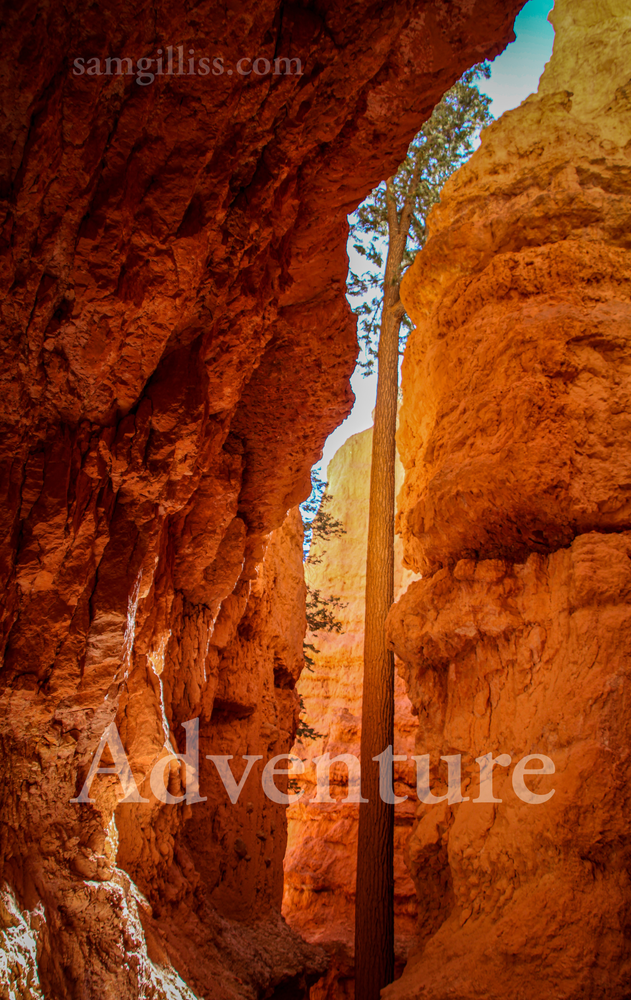 Adventure Calendar (9.75x17.25 Inch) Photography Art | Sam Gilliss | Visual Arts