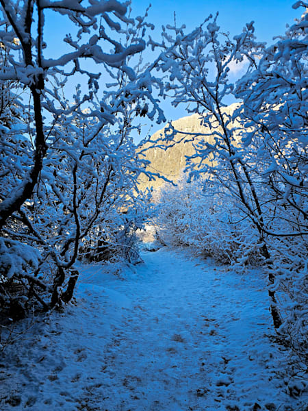 First Snow   Mendenhall Photography Art | Sam Gilliss | Visual Arts