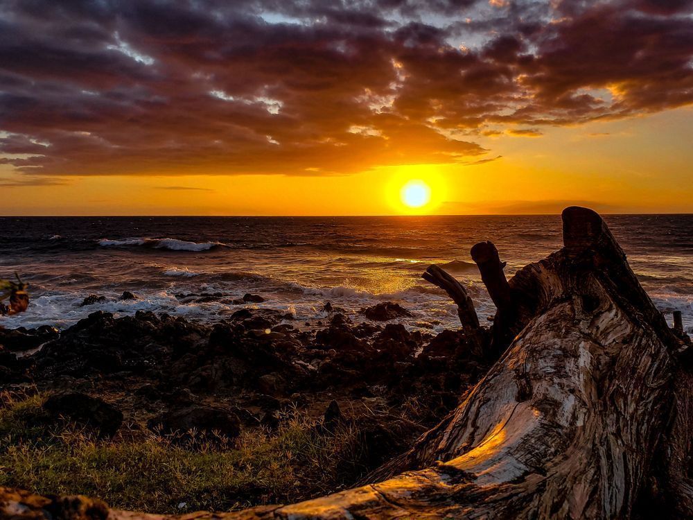 Driftwood Photography Art | Sam Gilliss | Visual Arts