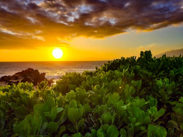 Kamaole 1 Photography Art | Sam Gilliss | Visual Arts