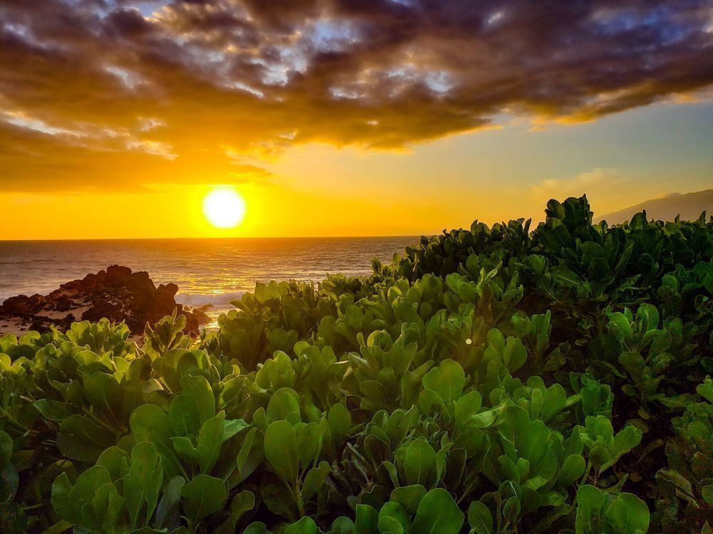 Kamaole 1 Photography Art | Sam Gilliss | Visual Arts