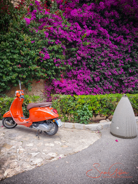 Ibiza Vespa Photography Art | Sam Gilliss | Visual Arts