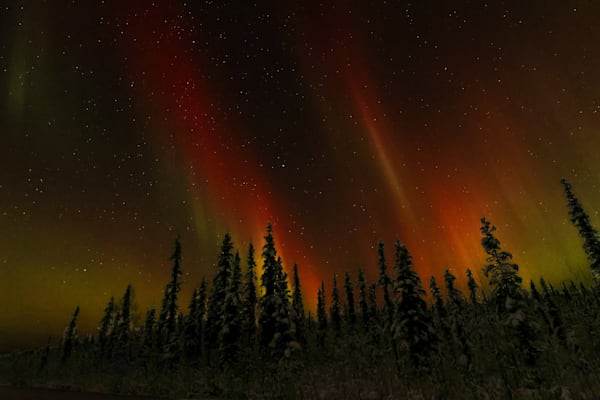 Fiery Aurora Borealis Over Snowy Forest | Alaska Night Sky Fine Art Photography by Sam Gilliss