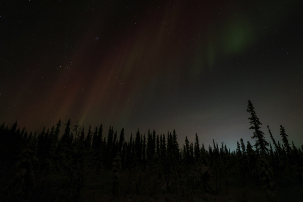 Aurora Borealis Over Olnes Pond in Fairbanks, Alaska | Night Landscape Photography