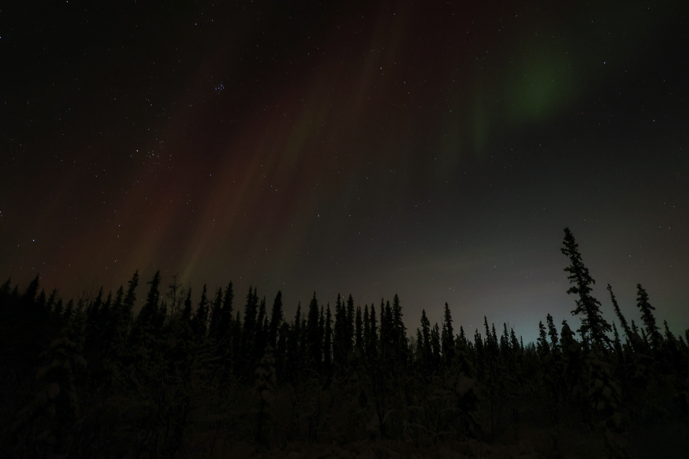 Aurora Borealis Over Olnes Pond in Fairbanks, Alaska | Night Landscape Photography