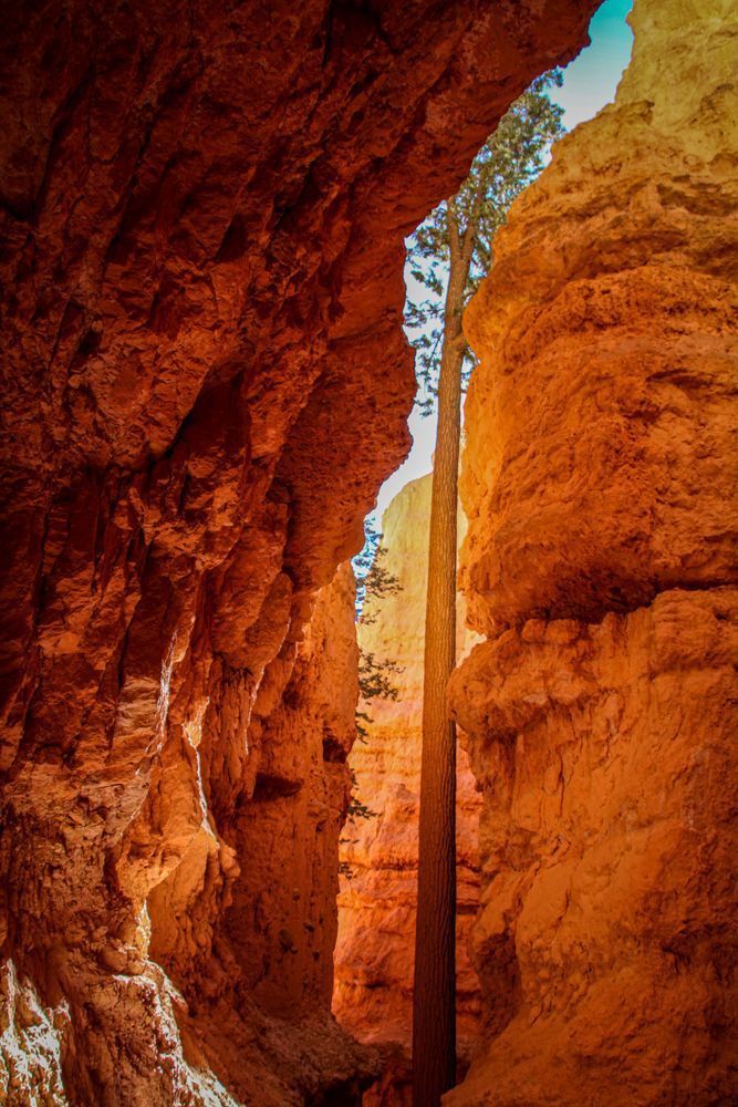 Bryce Canyon