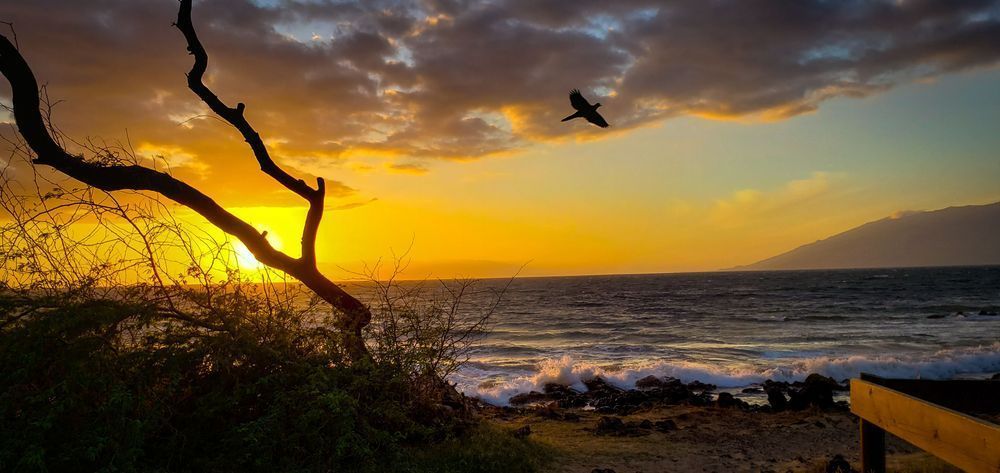 Taking Flight Photography Art | Sam Gilliss | Visual Arts