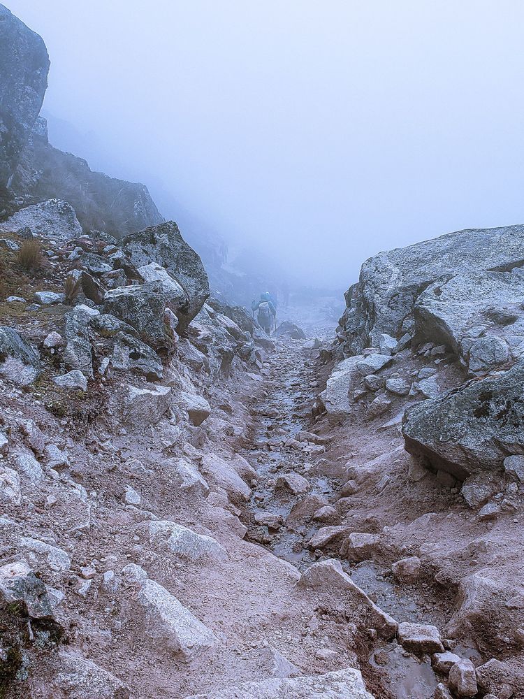 Salkantay Fog