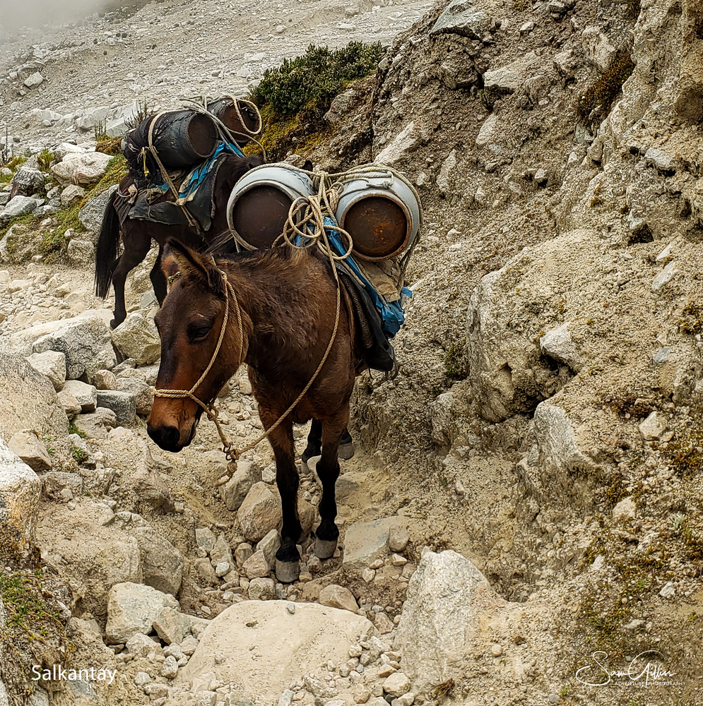 Salkantay Cargo Carrier Photography Art | Sam Gilliss | Visual Arts