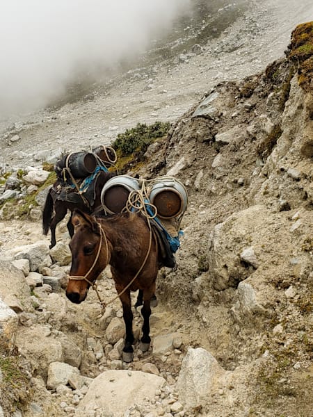 Salkantay Pass