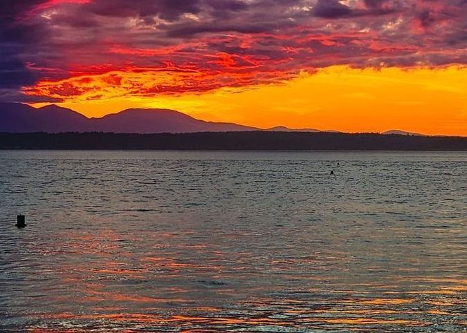 Puget Sound Lights Up Photography Art | Sam Gilliss | Visual Arts