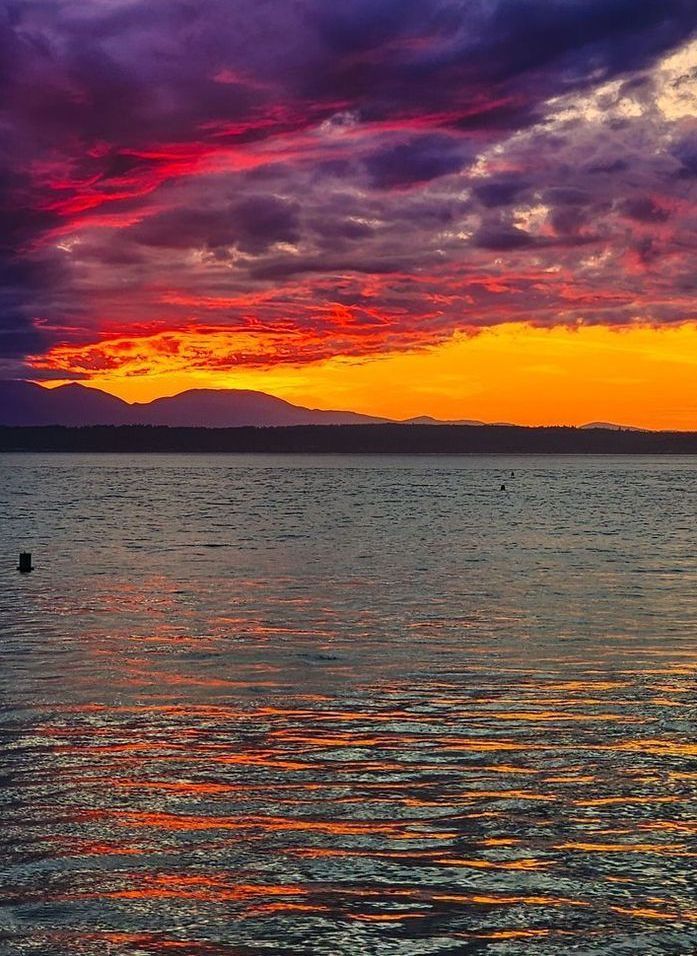 Puget Sound Lights Up Photography Art | Sam Gilliss | Visual Arts