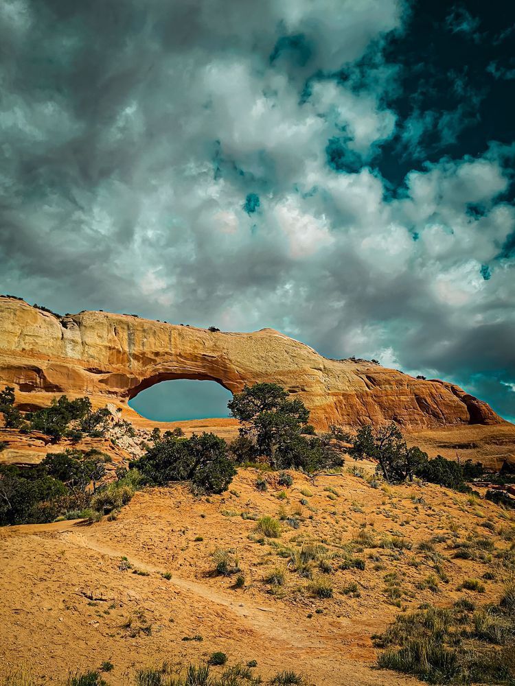 Wilson Arch 