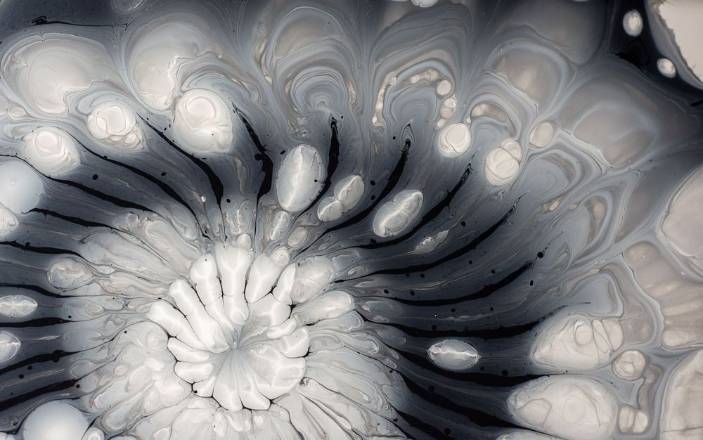 Black on White Swirl