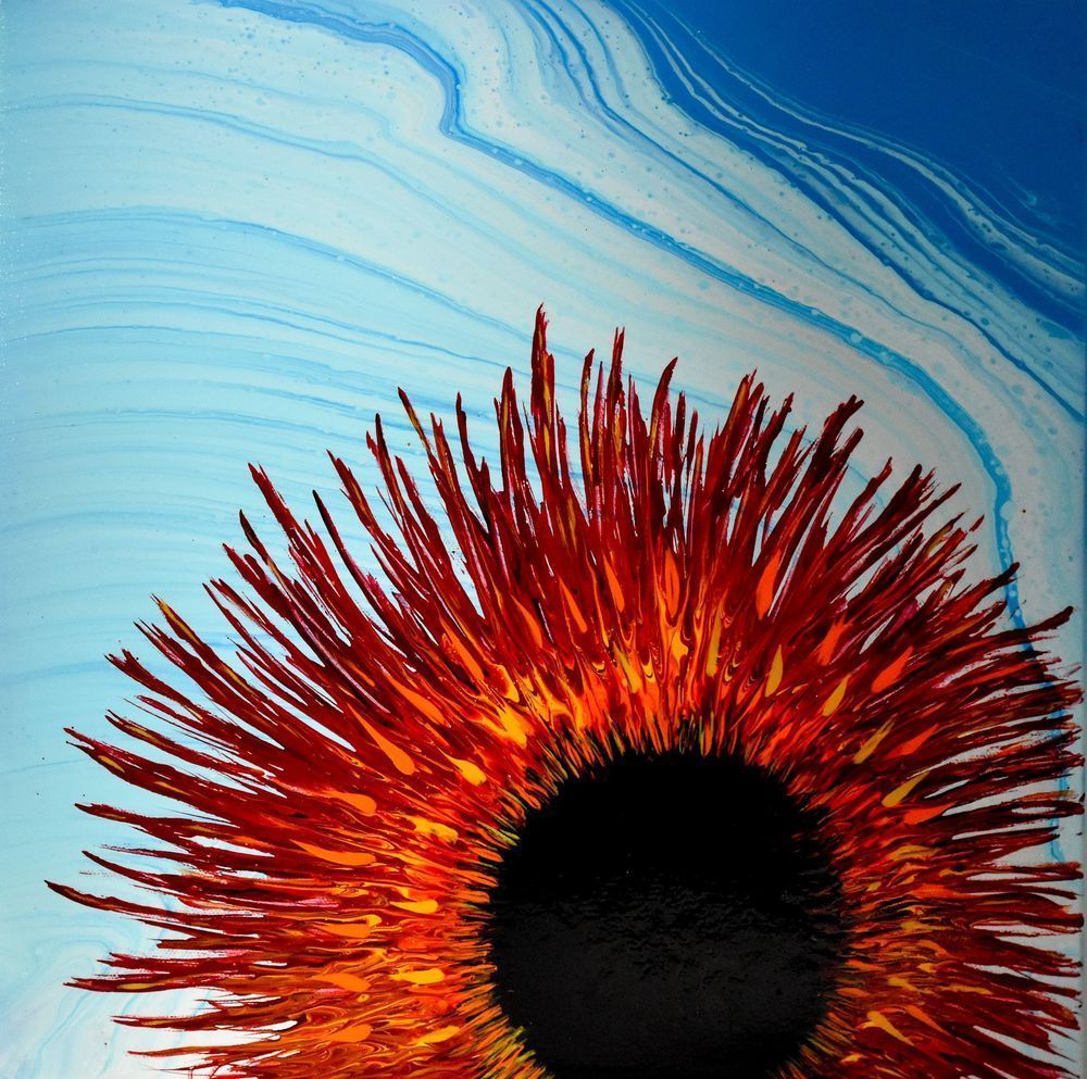 Red Sunflower On Blue